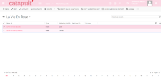La Vie En Rose for CRM Theme