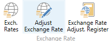 Adjust Exchange Rate NAV
