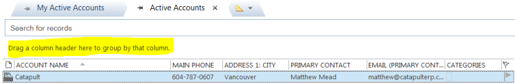 Drag a CRM column to group