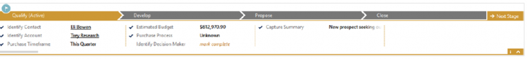 CRM 2013 Process Bar