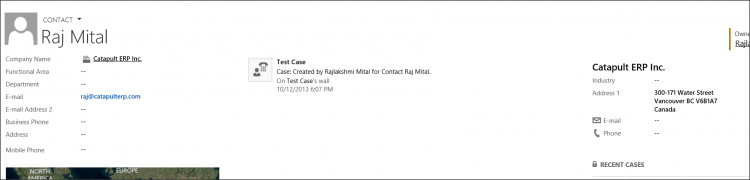 CRM 2013 Quick View Screenshot