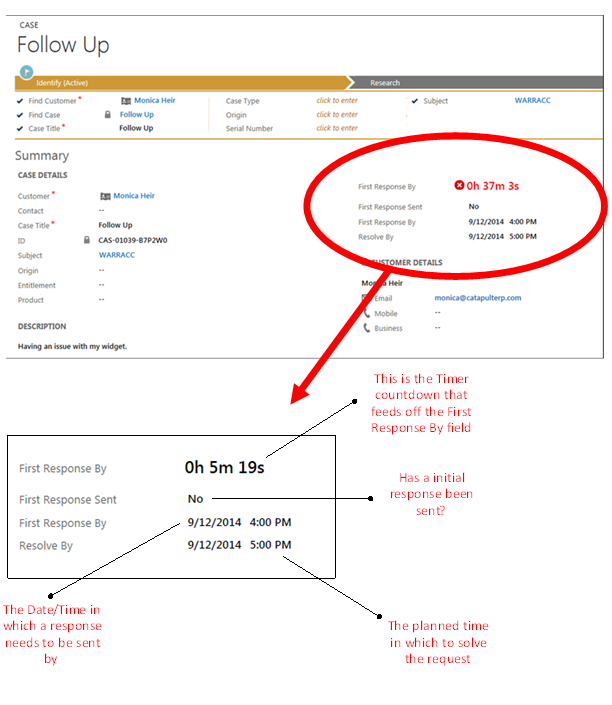 Example of timer on case form - Time in CRM
